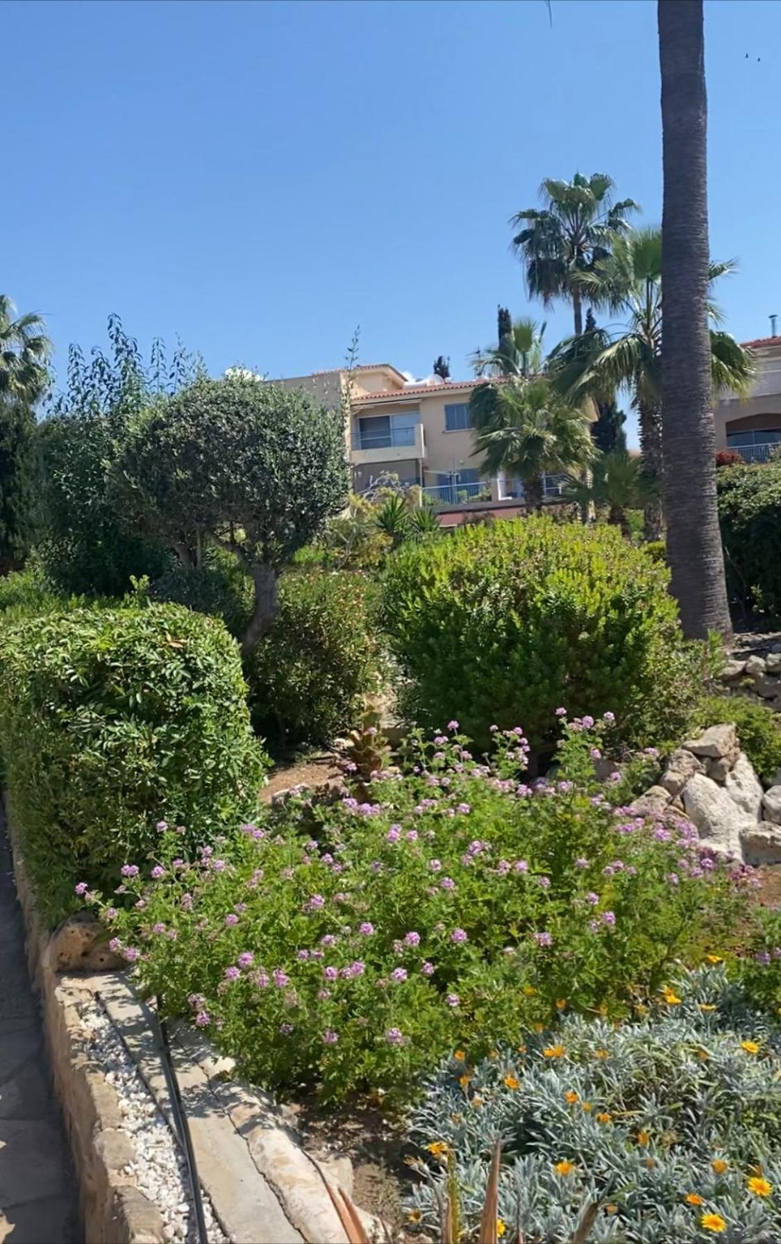 Newly Renovated- Regina Gardens 1, Venus Beach 500 M, Sea&Sunsets View, License Ooo7141 Paphos Exterior photo